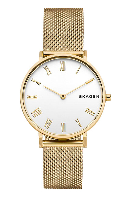 SKAGEN SKW 2713