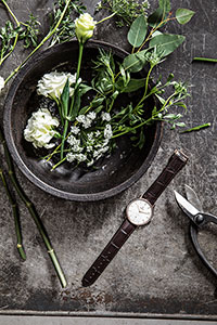 DiaMaster Ceramos от Rado