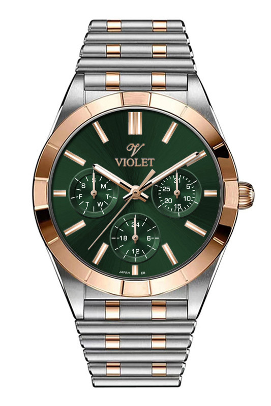 Violet 0613L 4.3.1 Violet 0613L 4.3.1