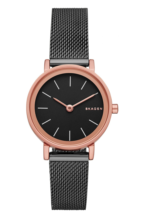 SKAGEN SKW 2492
