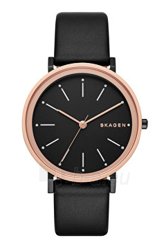SKAGEN SKW 2490