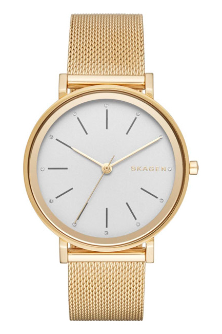 SKAGEN SKW 2509